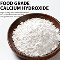 Poudre d'hydroxyde de calcium de qualité alimentaire E526, régulateur d'acidité, pureté 99 %, sac de 25 kg pour la production de tofu et de tortillas de maïs