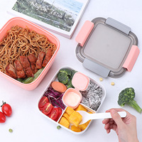 Offre Spéciale Nouveau produit polyvalent et pratique Boîte à lunch en plastique durable de haute qualité avec diviseur-et pratique