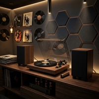 Lecteur de disques vinyles haut de gamme professionnel OEM/ODM avec logo personnalisé en bois de noyer sans fil avec deux haut-parleurs externes