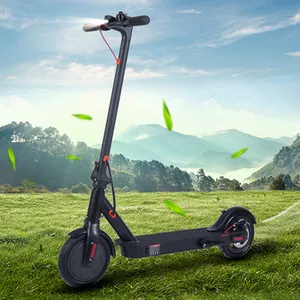 Maxwheel E9 bird scooter 350W motor 36V 7.5ah battery with factory direct offer