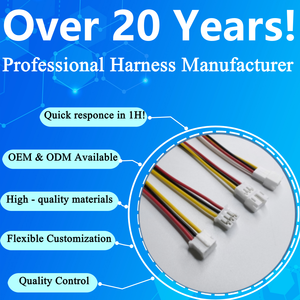 Kabel Harness Kustom ODM OEM JST PH2.0mm Male 2-12 Pin untuk Sepeda Motor dan Mobil, Konduktor Tembaga Berlapis Timah, Tahan Tegangan 300V - Product Image 6