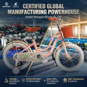 Bicicleta de Montaña para Niñas SY, Modelo Más Vendido, Cuadro de Acero de Alta <span class=keywords><strong>Calidad</strong></span>, Llantas Negras, con Canasta - Product Image 5