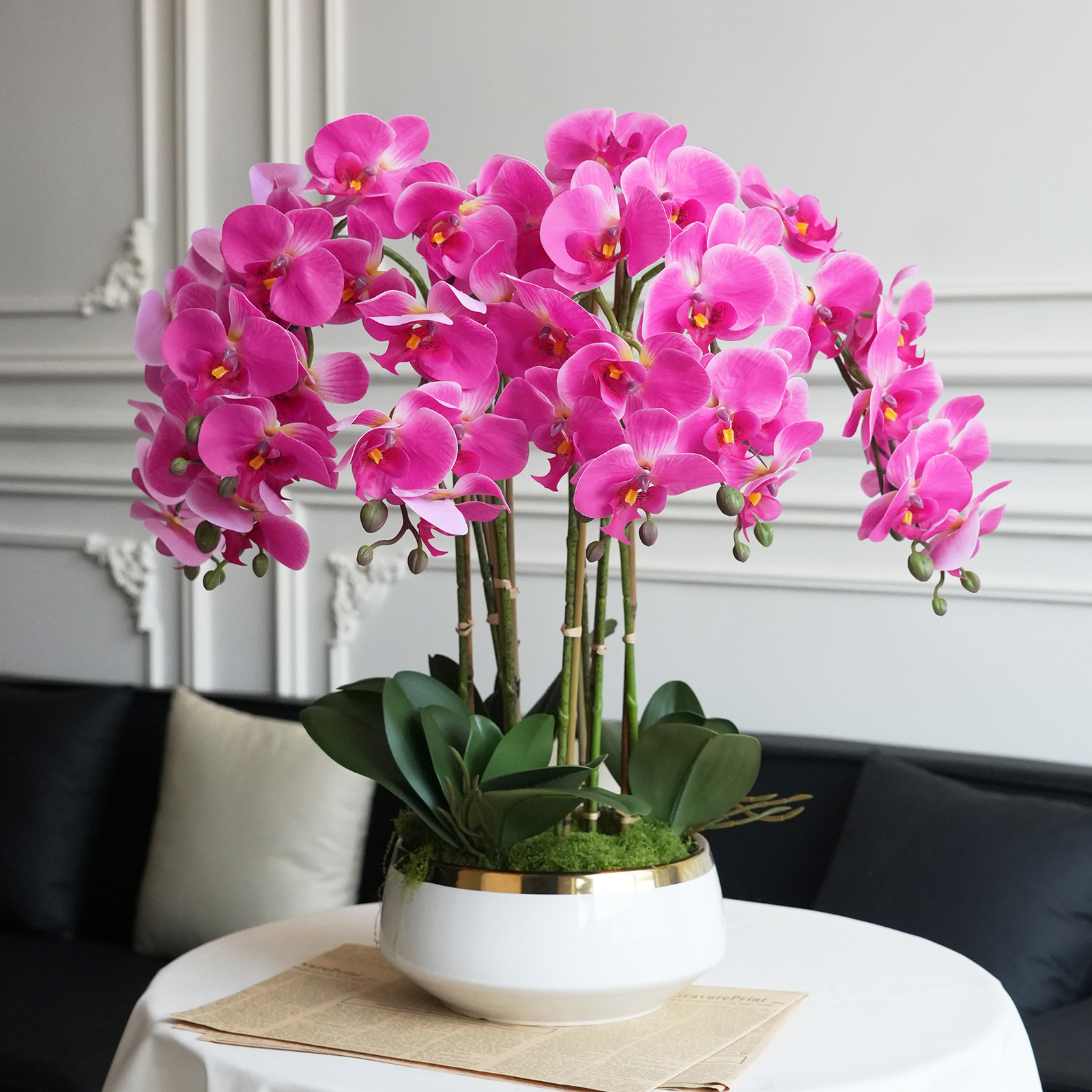 Plante en pot phalaenopsis rose au toucher haut de gamme