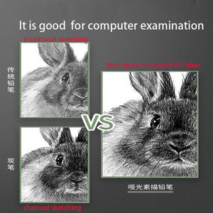 Faber Lâu Đài Hb/2B/4B/6B/8b/10b/12B/14B Nghệ Sĩ Bằng Gỗ Pitt Graphite Matte Chuyên Nghiệp Phác Thảo Bút Chì - Product Image 4