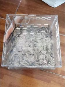 Boîte d'élevage de ver <span class=keywords><strong>vivant</strong></span> en plastique <span class=keywords><strong>pour</strong></span> reptiles Boîte à insectes à motif solide d'affichage en acrylique transparent - Product Image 6