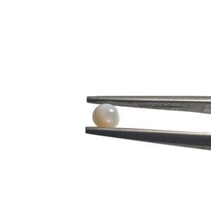 Natural White Seashell Beads 4.0mm Round Polished Loose Beads For Jewelry Making Bulk Packaging - Product Image 5