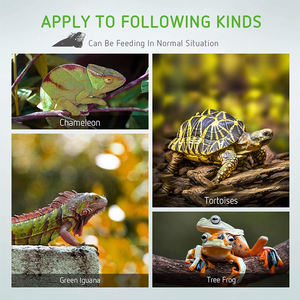 Nuevo accesorio de estera para mascotas con calor hidropónico grande y cálido mejorado, almohadilla calefactora para reptiles de terrario - Product Image 5