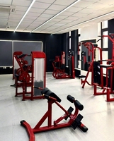 Banc d'hyperextension professionnel ZY-Commercial à 45 degrés pour l'entraînement de la force du bas du dos – Équipement de gym
