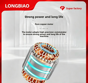 Pompe à vis simple LONGBIAO pour additifs <span class=keywords><strong>PAC</strong></span>/<span class=keywords><strong>PAM</strong></span>, retour de boues, en fonte, arbre en acier inoxydable, à vitesse variable par conversion de fréquence, type G - Product Image 5