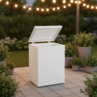Congélateur horizontal encastrable solaire/électrique pour la maison, à économie d'énergie et silencieux, avec portes pliantes doubles