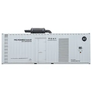 625kVA set generator Gas 500W tugas berat, tipe wadah mesin HUAQUAN bertenaga baru dengan gas alami/Biogas