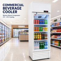 Réfrigérateur vertical commercial à porte vitrée simple pour boissons et jus, idéal pour les supermarchés