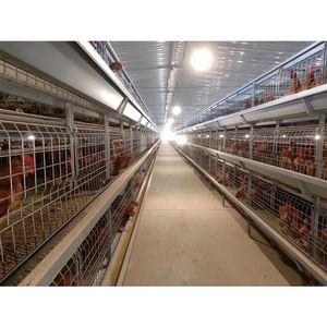Poulet Offre Spéciale ferme équipement couche batterie oeufs <span class=keywords><strong>poules</strong></span> pondeuses cage à vendre multifonctionnel fourni poulet vivant - Product Image 3