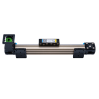 Module de table coulissante à courroie synchrone pour ligne de production automatisée Mjunit, pulvérisation linéaire par portique, distribution de colle, électrique à pas de broche