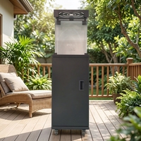 Brasero carré à gaz extérieur avec vitre de visualisation, brûleur en acier inoxydable 11KW GPL Propane pour jardin et terrasse, usage chauffant