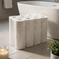 Stock – Lot de 24 rouleaux de papier toilette 2 plis 16 g/m² – Haute résistance à l'humidité, très absorbant, durable, emballage transparent – Prêt à être expédié – Pour la maison et la salle de bain