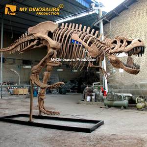 MY DINO Mini <span class=keywords><strong>Golf</strong></span> Modè<span class=keywords><strong>le</strong></span> de squelette de dinosaure T-rex grandeur nature - Product Image 3