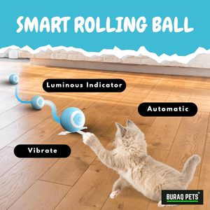 Jouet interactif pour chat, balle roulante à gravité, balle mobile pour chats et chatons, jouet durable pour animaux de compagnie, pour l'exercice, l'entraînement et l'utilisation quotidienne - Product Image 5