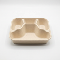 Offre Spéciale : Boîte à lunch jetable biodégradable à 4 compartiments en bagasse de canne à sucre, conteneur alimentaire carré avec couvercle, capacité 1000 ml
