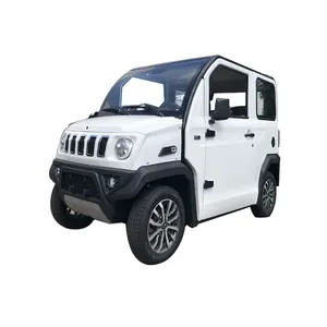 중국 4wd 전기 자동차 가격 새로운 럭셔리 Rhd 에미리트 성인