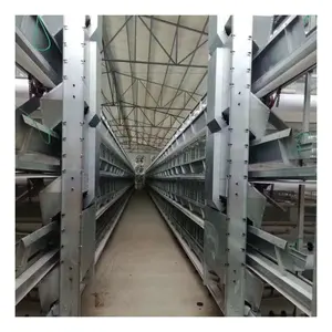 Good Quality farm chicken layer iron cages H type battery cage philippines galvanized layer chicken cages