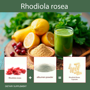 ยาแคปซูล Rhodiola rosea อาหารเสริมฟังก์ชัน - Product Image 4