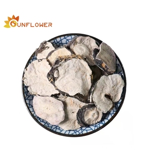 ผงเจลจาก Maca บริสุทธิ์และออร์แกนิก100% - Product Image 2