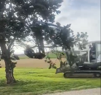 Cisaille hydraulique MONDE pour l'abattage des arbres sur excavatrice – Offre Spéciale