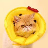 Foulard léger et réglable pour chats, avec imprimé mignon, pour empêcher de lécher après une cicatrisation