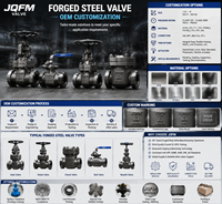 Vanne à opercule en acier forgé A105 à brides classe 300 OS&Y à tige montante haute pression pour usage industriel OEM