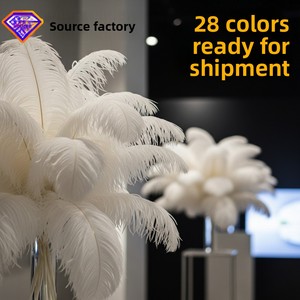 Plumes d'autruche D475 15-80 cm Afrique du Sud pour banquets, arches de mariage DIY, décorations d'allée, accessoires de table, spectacles ; Disponible - Product Image 6