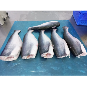 Peixe Congelado Pangasius (Bagre) HGT Barato para Exportação do Vietnã – Peixe <span class=keywords><strong>Basa</strong></span> HGT à Venda - Product Image 3