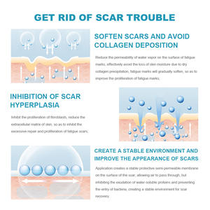 Lanemay Plant Extract Zachte Formule Arbutine Nicotinamide Diepe Reparatie Litteken Verwijdering Crème 20G <span class=keywords><strong>Gel</strong></span> Draagbare Veilige Aangepaste Logo Voor - Product Image 3