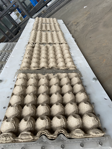 Профессиональная машина для производства лотков для яиц из бумажной массы Fuyuan, 120 шт./мин, высокая производительность, мощность 45 кВт, лучшее качество - Product Image 2