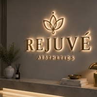 Lettres rétroéclairées en acier inoxydable 3D personnalisées, logo lumineux LED pour salon de beauté, clinique esthétique, décoration murale