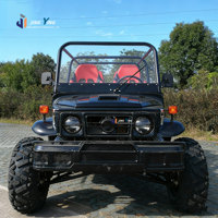 Venta Caliente, Buggy de 2/4 Plazas con Certificación CE, 200cc/300cc/350cc/1000cc, 4x4, Carritos de Golf, Jeeps