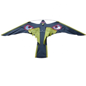 Aigle sur mesure <span class=keywords><strong>cerf</strong></span>-<span class=keywords><strong>volant</strong></span> faucon <span class=keywords><strong>cerf</strong></span>-<span class=keywords><strong>volant</strong></span> <span class=keywords><strong>pas</strong></span> <span class=keywords><strong>cher</strong></span> grand oiseau <span class=keywords><strong>effaroucheur</strong></span> <span class=keywords><strong>cerf</strong></span>-<span class=keywords><strong>volant</strong></span> - Product Image 2