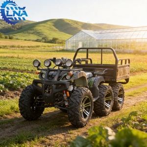 LNA pretty <strong>fast</strong> 6 wheeler ce certificated 250cc farm <strong>quad</strong> <strong>bike</strong> - Product Image 2