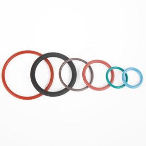 <span class=keywords><strong>Kit</strong></span> <span class=keywords><strong>de</strong></span> <span class=keywords><strong>réparation</strong></span> <span class=keywords><strong>de</strong></span> joint torique <span class=keywords><strong>pour</strong></span> pompe <span class=keywords><strong>Jacuzzi</strong></span> magnum, joint mécanique hydraulique élégant en caoutchouc FKM, métal, NBR, PU - Product Image 5