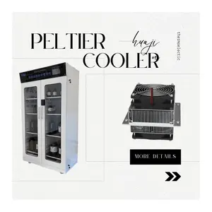 Tùy chỉnh công nghiệp 12V DC nhiệt Peltier Cooler với tản nhiệt để làm mát và sưởi ấm hộp