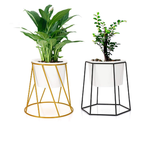 Jardinière en métal minimaliste avec revêtement en poudre blanche, pour la décoration intérieure et extérieure, avec mini base et support en métal doré - Product Image 1