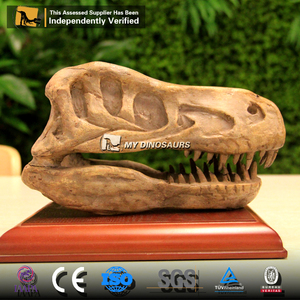 My Dino Original Size Fiberglass Dinosaur <span class=keywords><strong>Fossil</strong></span> Dinosaur Skull Of <span class=keywords><strong>Velociraptor</strong></span> For Museum Display - Product Image 2