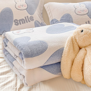 Tiêu chuẩn mùa thu và mùa đông nhà flannel chăn, in Chăn lông cừu chăn bán buôn - Product Image 2