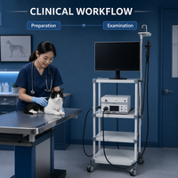 Système d'endoscopie vétérinaire modèle D en acier inoxydable de classe II pour gastroscopie animale, diagnostic des petits animaux, fourni directement par l'usine