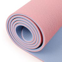 Vente en gros, logo personnalisé, ensemble de Pilates recyclé portable, tapis de yoga en TPE écologique avec ligne de corps