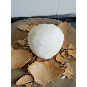 Vente directe d'usine chinoise - Machine automatique de déchiquetage de noix de coco SR-BPJ - Product Image 4