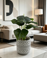 Plantes artificielles en pot pour décoration intérieure, en PE, style moderne, haute simulation, fleurs artificielles de Noël, ornement d'intérieur de qualité, fourni directement par l'usine