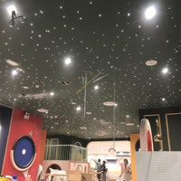 Kit de lumière d'étoile à fibre optique LED 16W Lumière décorative de plafond d'étoile céleste pour la conception de plafond personnalisée