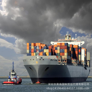 Shenzhen China Westafrika Versandlinie Express LCL Frachtdienst von Shenzhen Hafen nach Lagos Hafen Hohe Effizienz - Product Image 1
