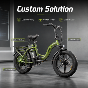 Bicicleta Eléctrica Profesional de 750W de Largo Alcance para Todo Terreno, Venta al por Mayor de Fábrica, Bicicleta Eléctrica de Carga de 48V 50AH - Product Image 1